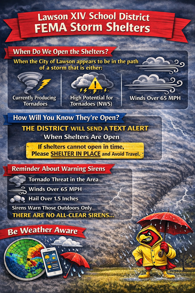 FEMA Infograph