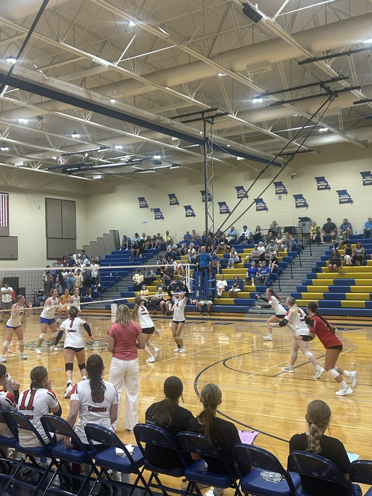 VB