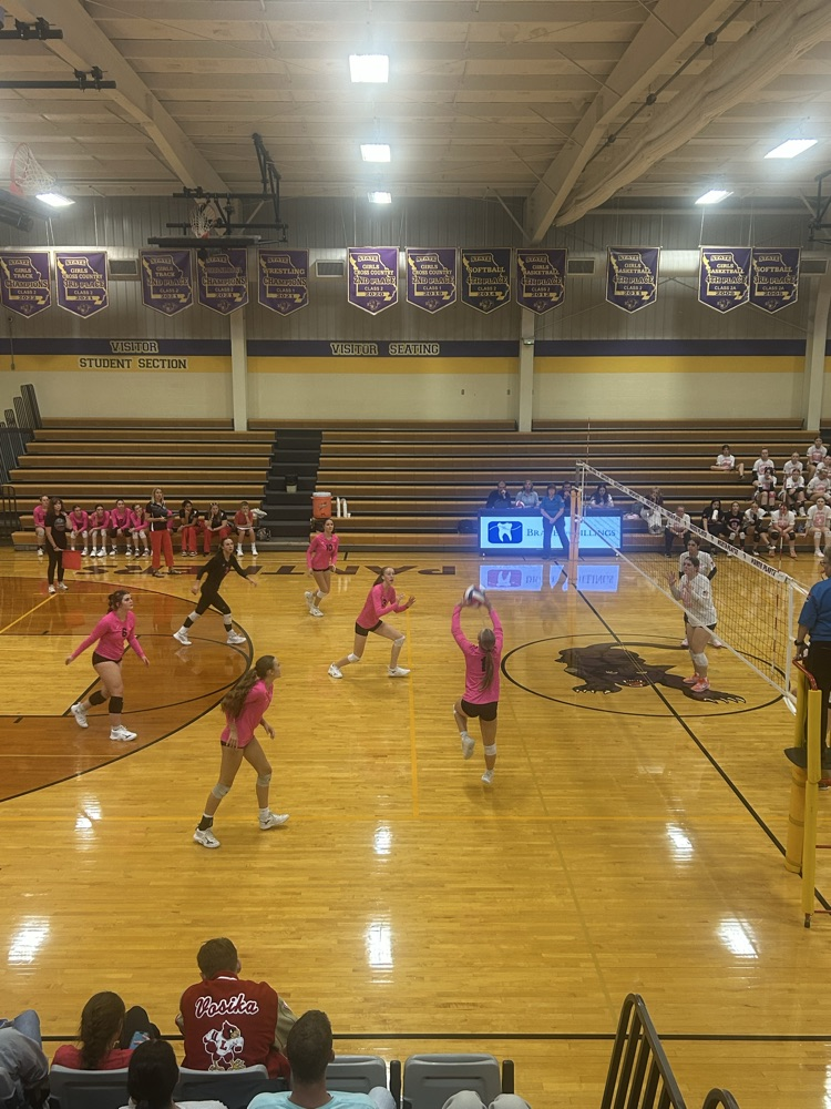 VB