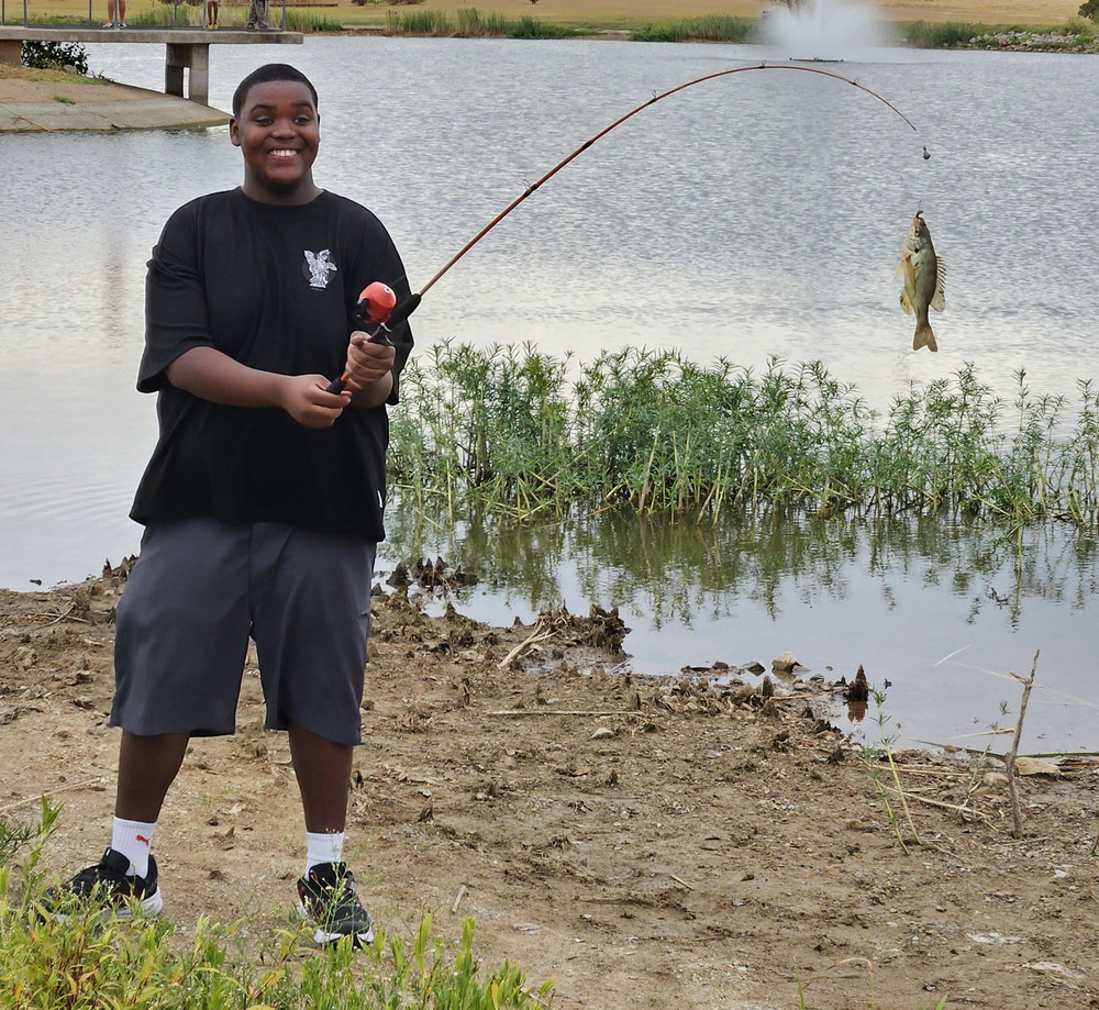 fish13