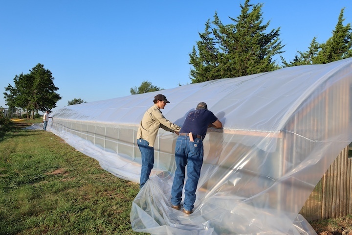 greenhouse