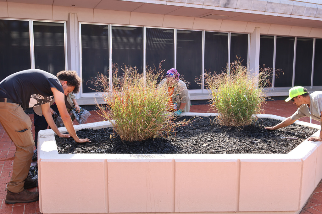 planter1