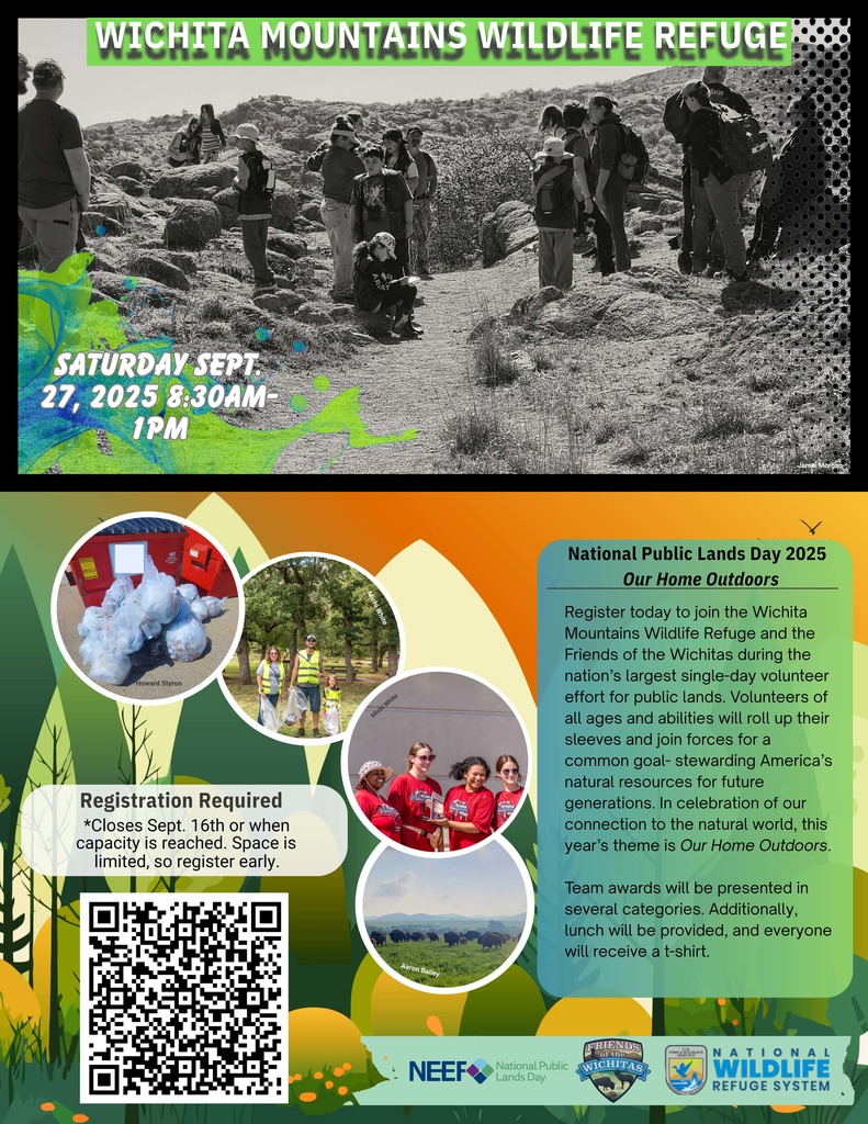 NPLD 2025 Flyer Draft