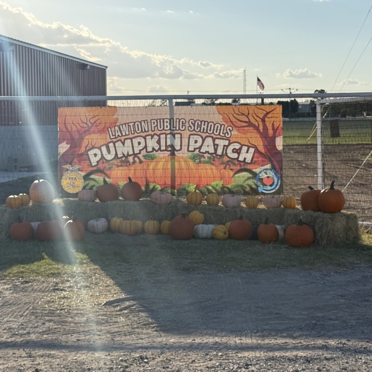 Pumpkin Patch