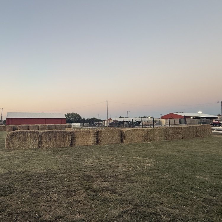 Pumpkin Patch