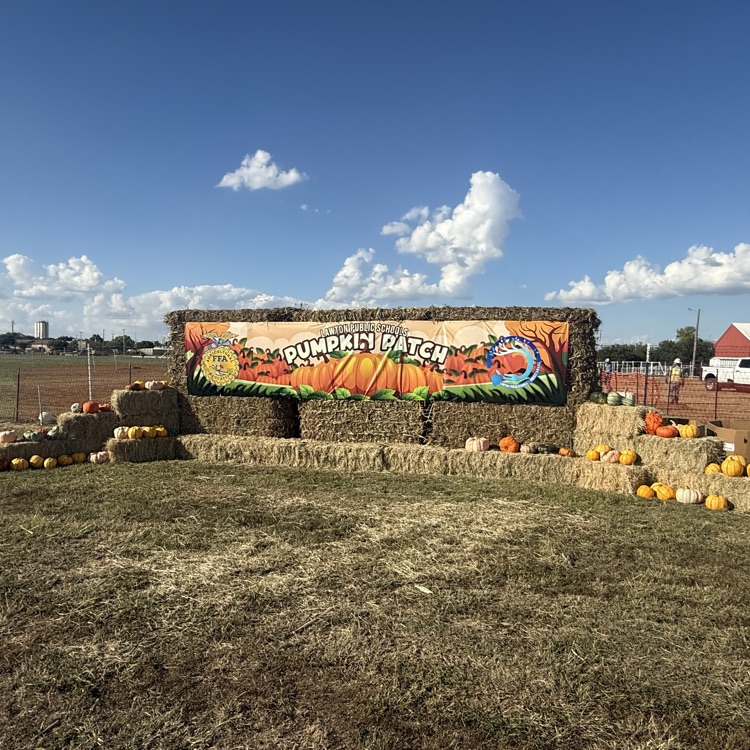 Pumpkin Patch