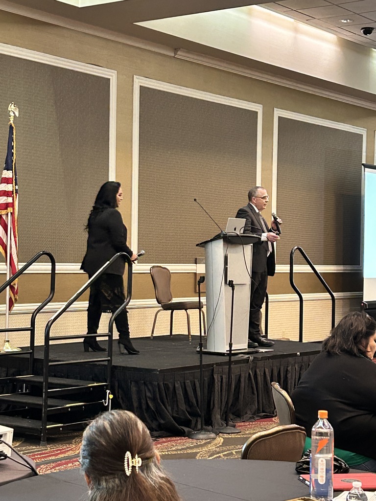 A conference room with a podium, flag, and person speaking. Another person stands beside the podium. An audience member sits in the foreground.