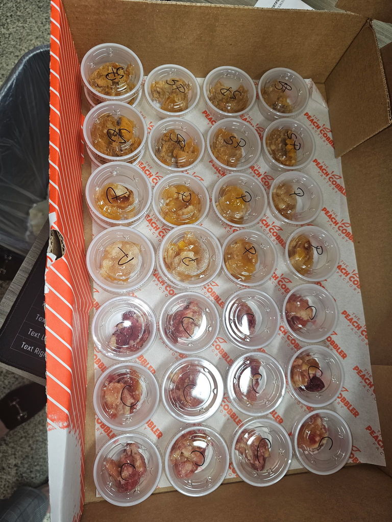 A cardboard box with orange stripes displays many small, clear containers, each containing various types of fruit.