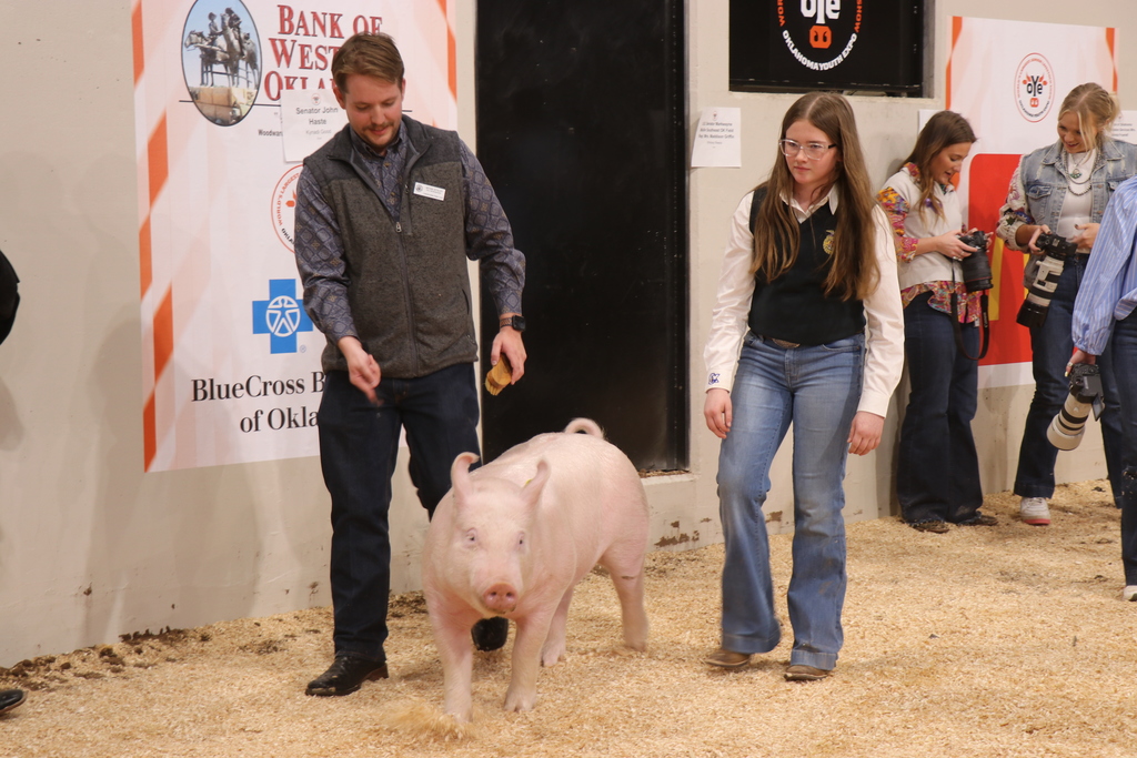 A man and a woman examine a white pig. A group of people stand in the background.