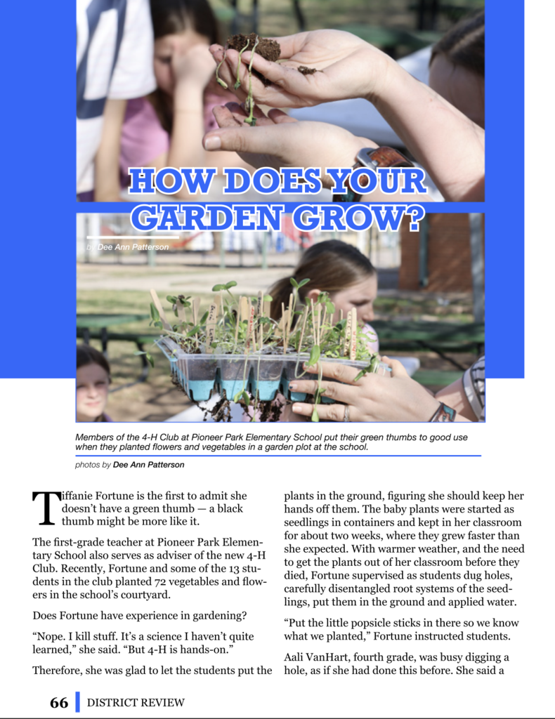 A hand holding some seedlings and flowers to get planted.