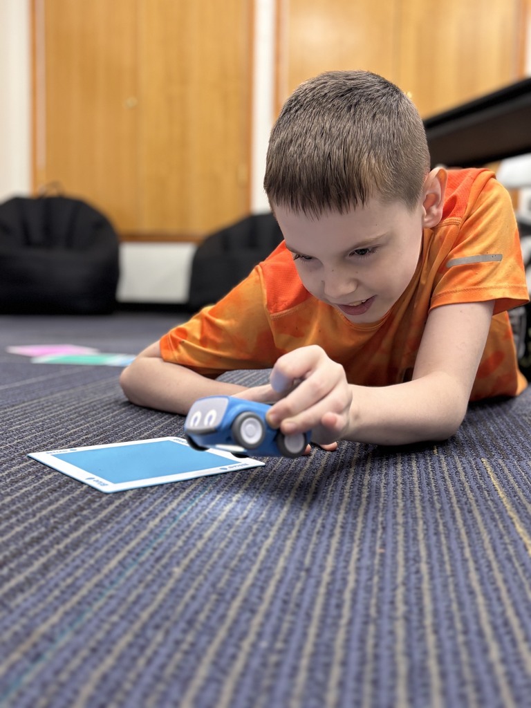 A child, wearing an orange shirt, plays with a blue toy car on a carpeted floor.