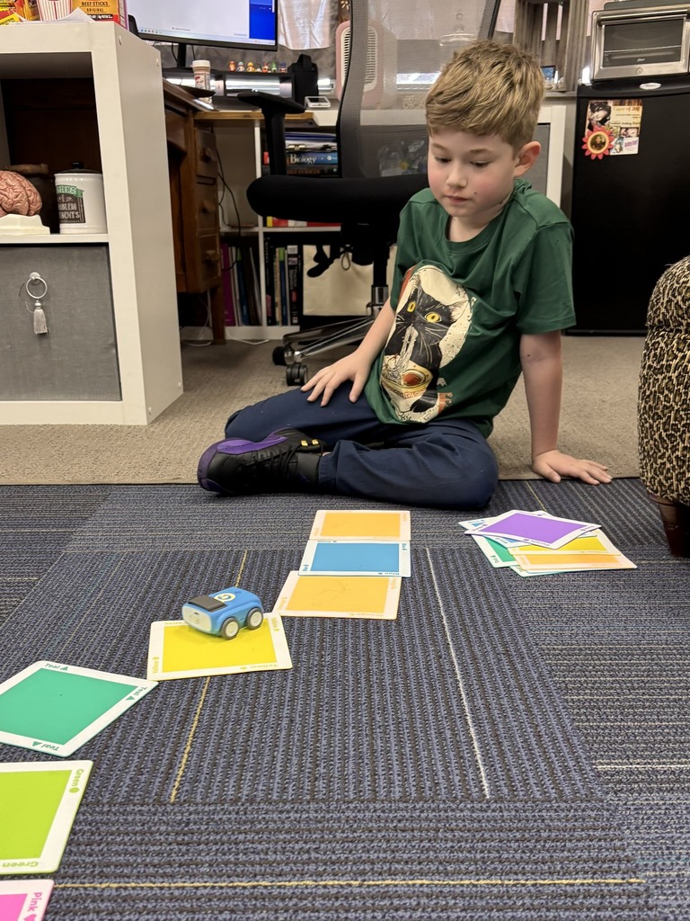 A boy sits on a carpet with colorful cards and a toy car. He is wearing a green shirt.