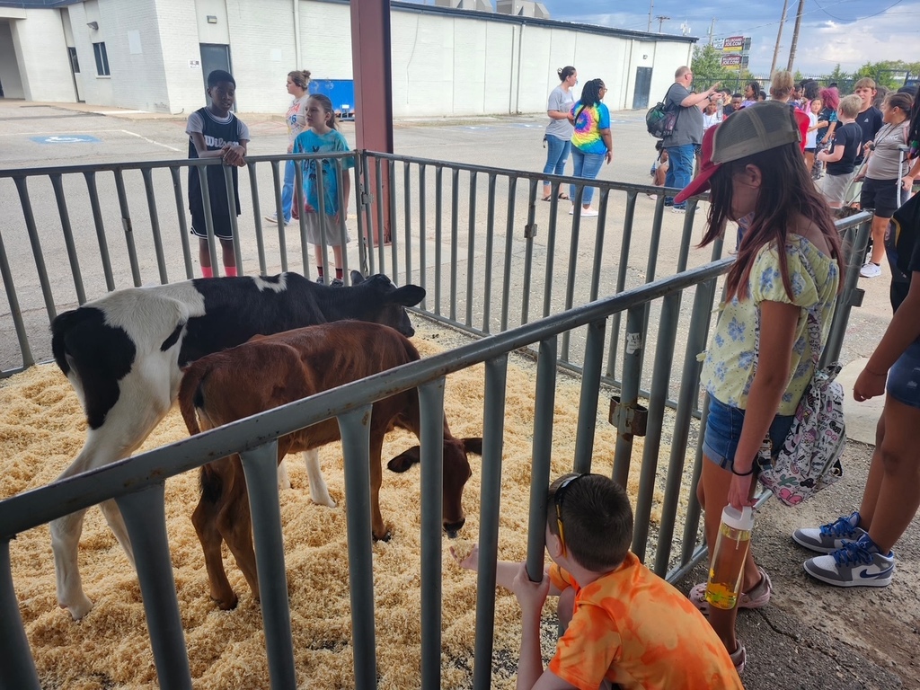 Group of children in a pen with calves, a metal fence, hay, and buildings in background.