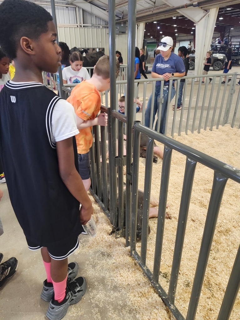 Children are looking at animals in an indoor pen. One child is wearing a white hat.