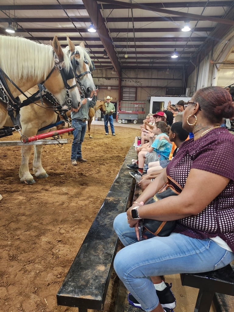 Several people sit on benches inside an arena. Two horses stand in the background. A man stands next to the horses.