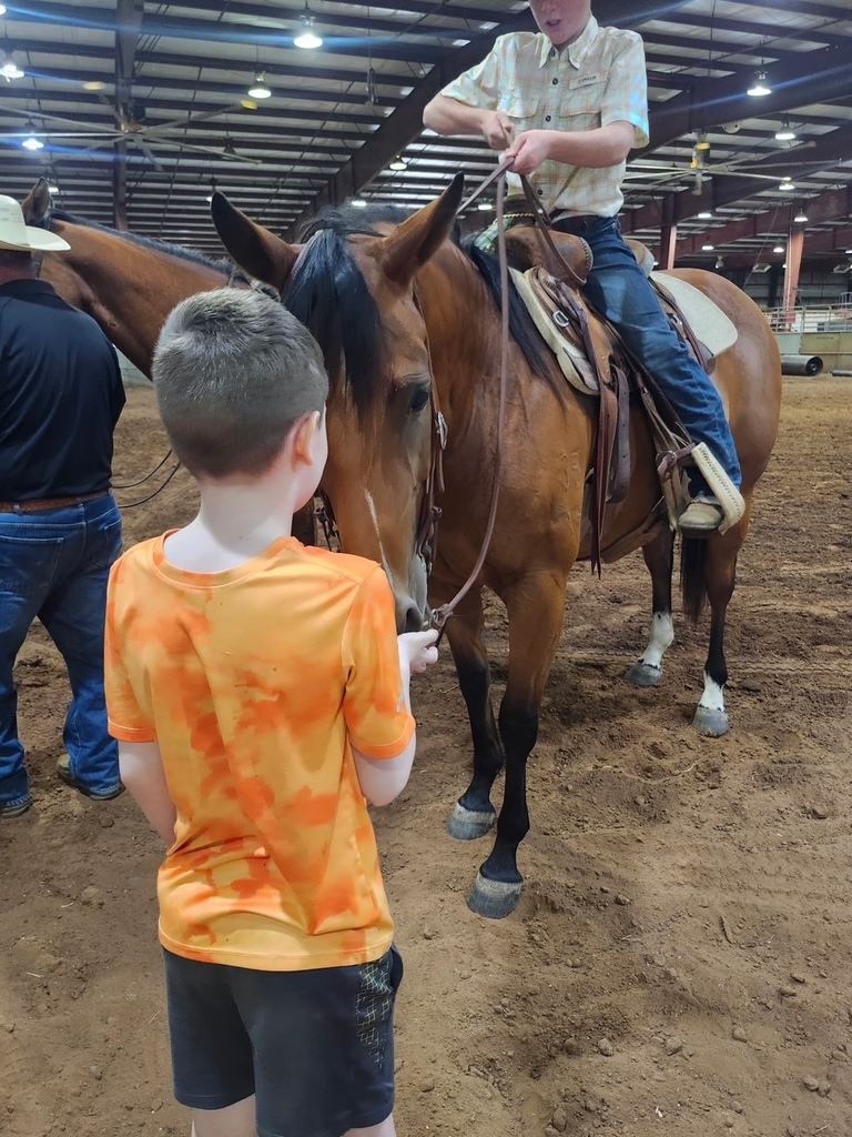 Boy holds horse's lead rope, gazing at it. A man rides the horse in an indoor arena.