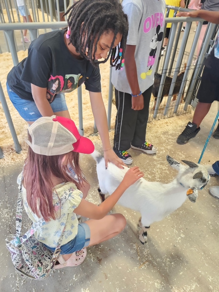 Three children at an outdoor petting zoo; one girl pets a white goat, while another girl watches.