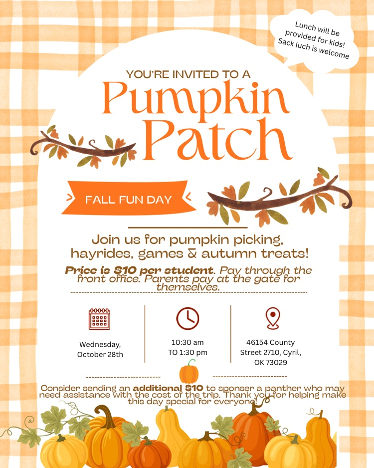 pumpkin patch 