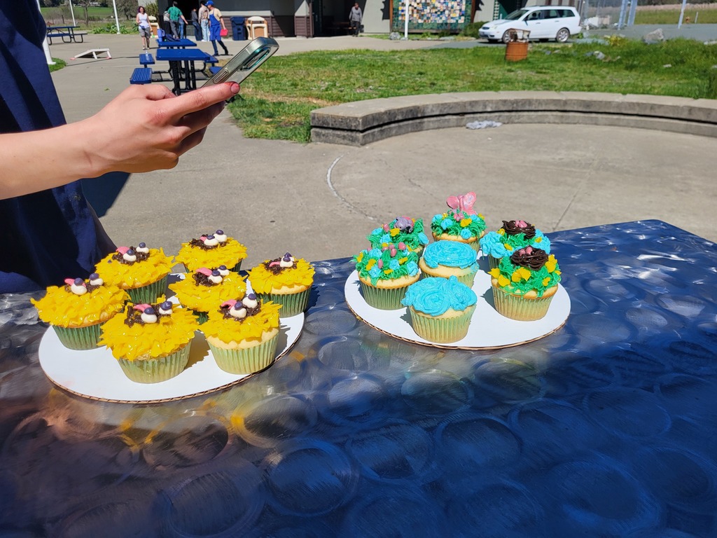 Culinary Arts students make cakes. 