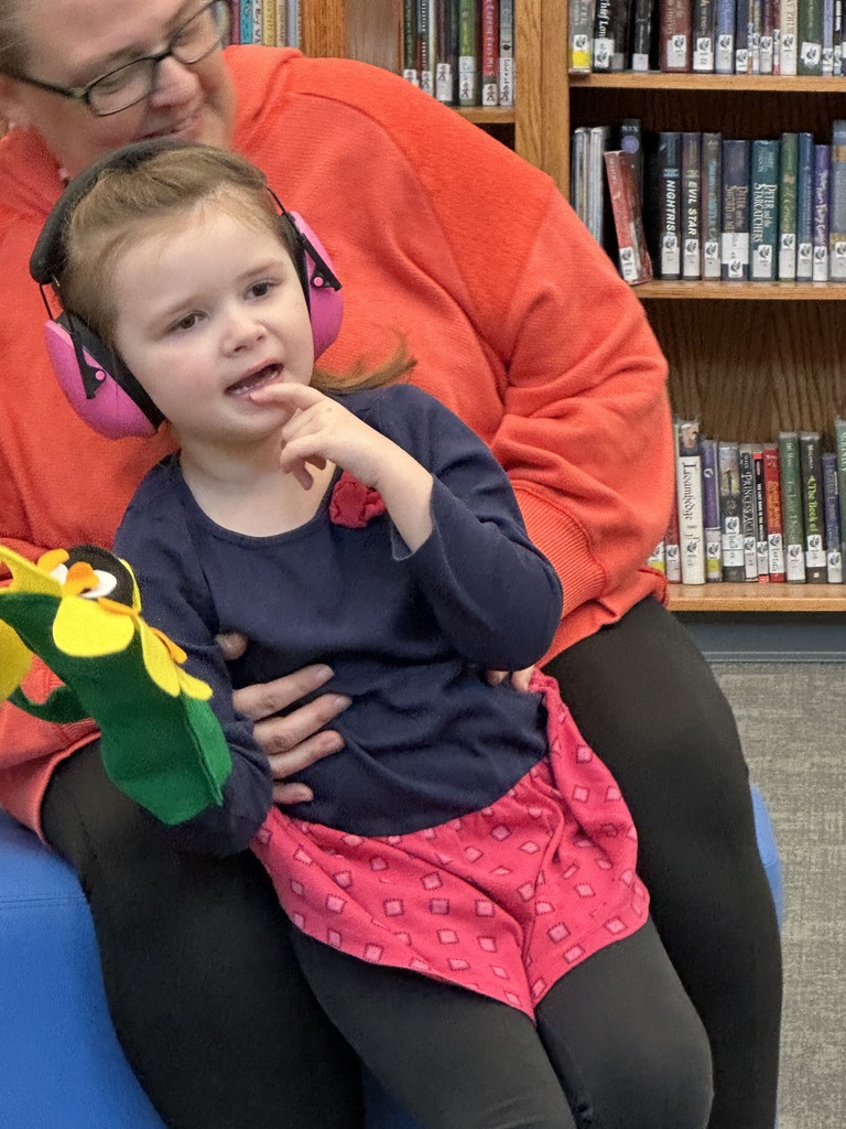 These kindergartners LOVED telling stories and using puppets with Ms. Nancy in library media class.