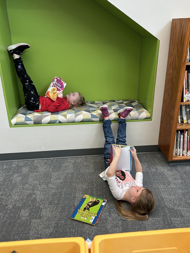 This week in library media, students K-3 are reading “Ursula Upside Down” by Corey R Tabor as part of the Star of the North Picture Book Award competition. After reading, we learned about upside-down catfish and then enjoyed some upside down reading! Thanks to H.A.V.E. for purchasing these books for us this year!