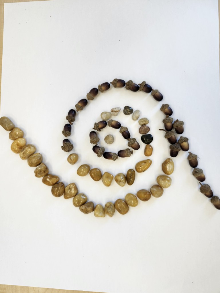 Wow! Look at this gorgeous work! Third graders learned about ephemeral art with nature and worked in collaborative groups to make their own designs.