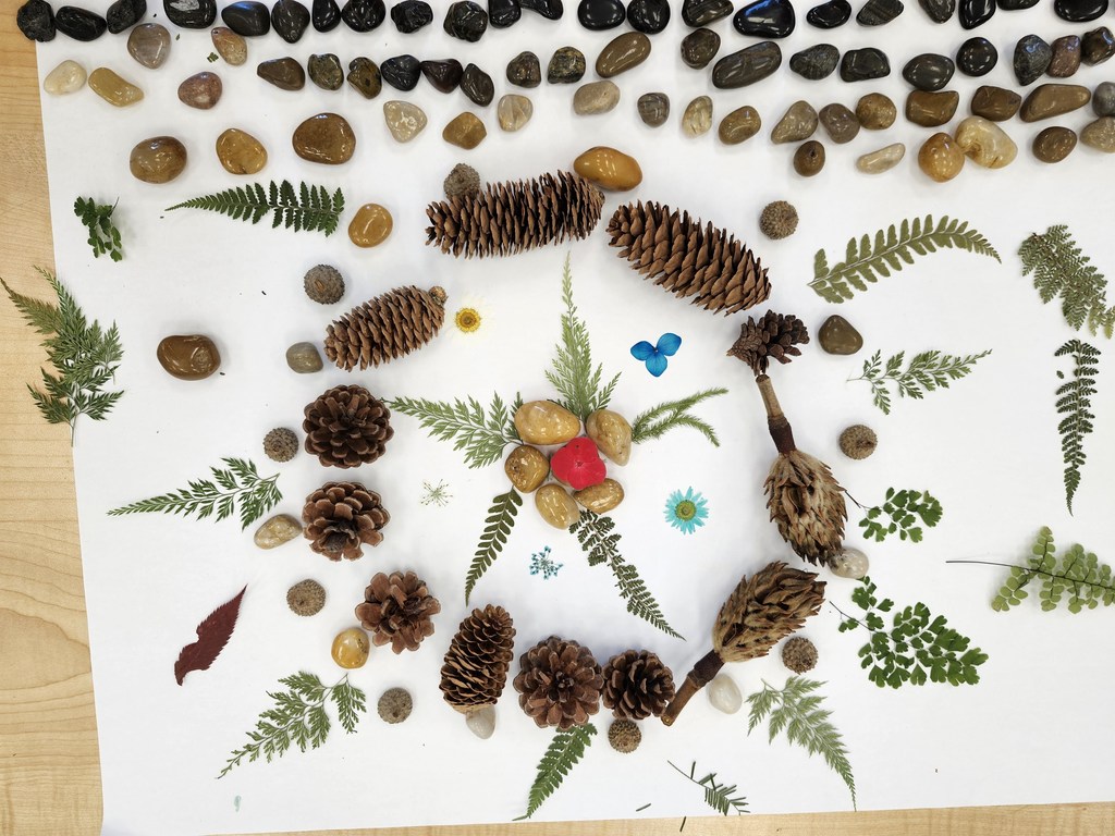 Wow! Look at this gorgeous work! Third graders learned about ephemeral art with nature and worked in collaborative groups to make their own designs.
