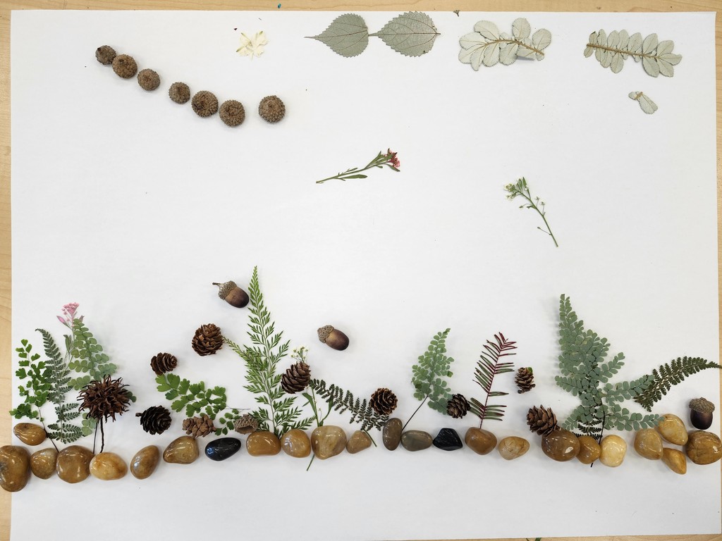 Wow! Look at this gorgeous work! Third graders learned about ephemeral art with nature and worked in collaborative groups to make their own designs.  