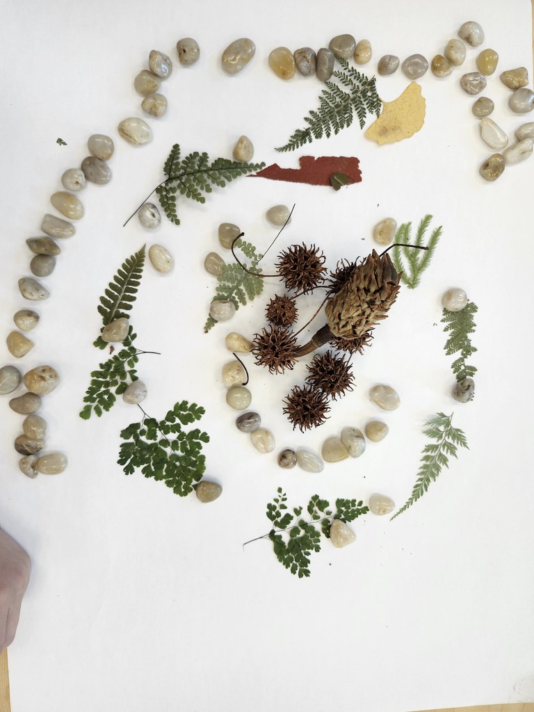 Wow! Look at this gorgeous work! Third graders learned about ephemeral art with nature and worked in collaborative groups to make their own designs.  