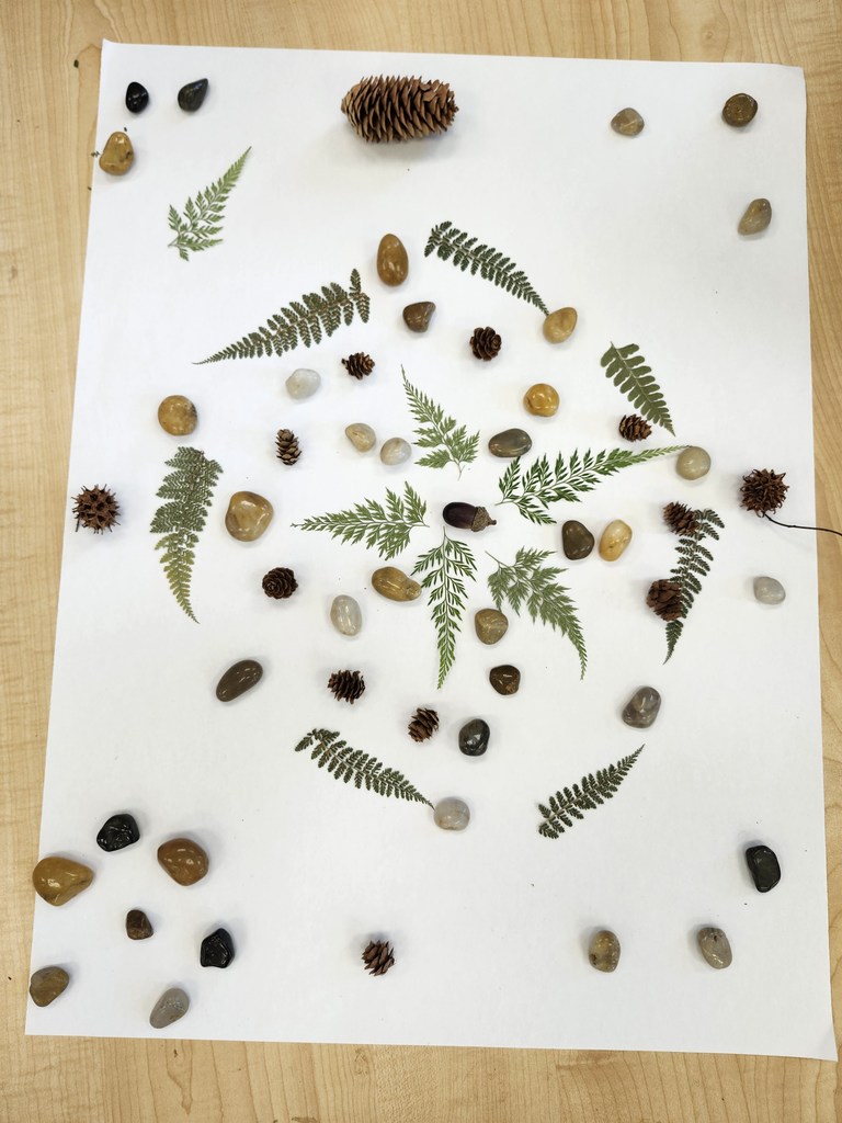 Wow! Look at this gorgeous work! Fifth graders learned about ephemeral art with nature and worked in collaborative groups to make their own designs.  