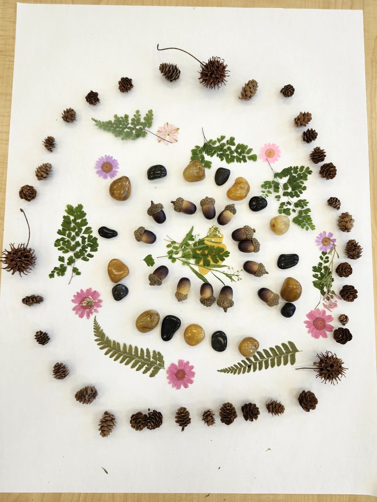 Wow! Look at this gorgeous work! 5th graders learned about ephemeral art with nature and worked in collaborative groups to make their own designs.  