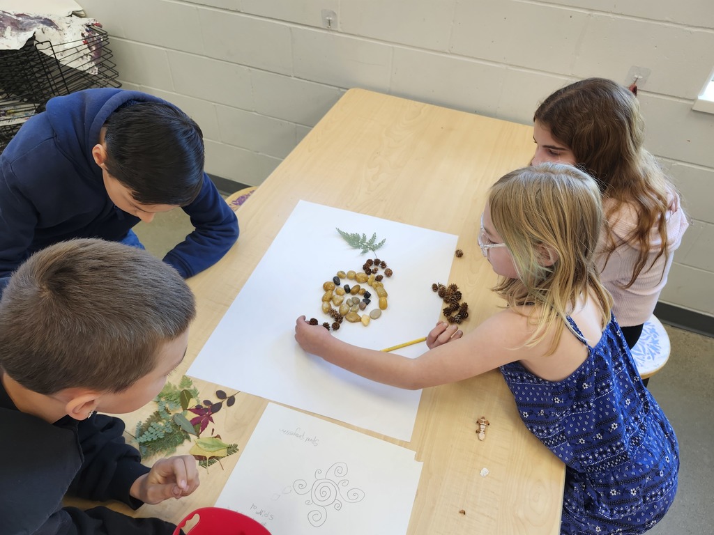 Wow! Look at this gorgeous work! 5th graders learned about ephemeral art with nature and worked in collaborative groups to make their own designs.  