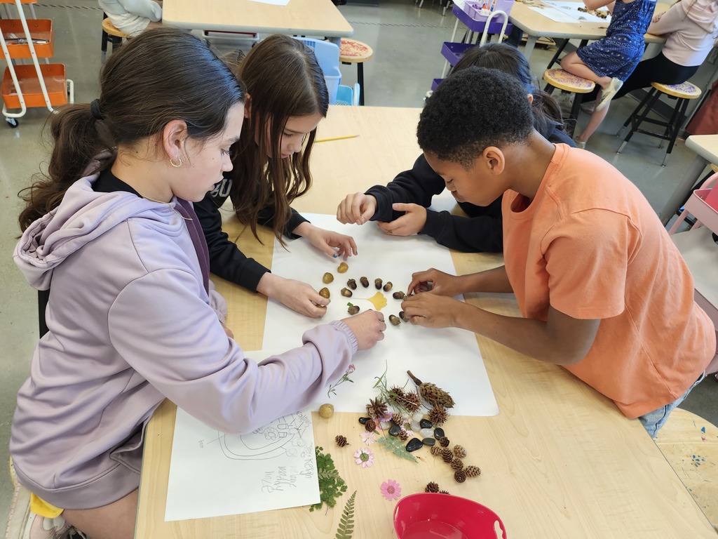 Wow! Look at this gorgeous work! 5th graders learned about ephemeral art with nature and worked in collaborative groups to make their own designs.  