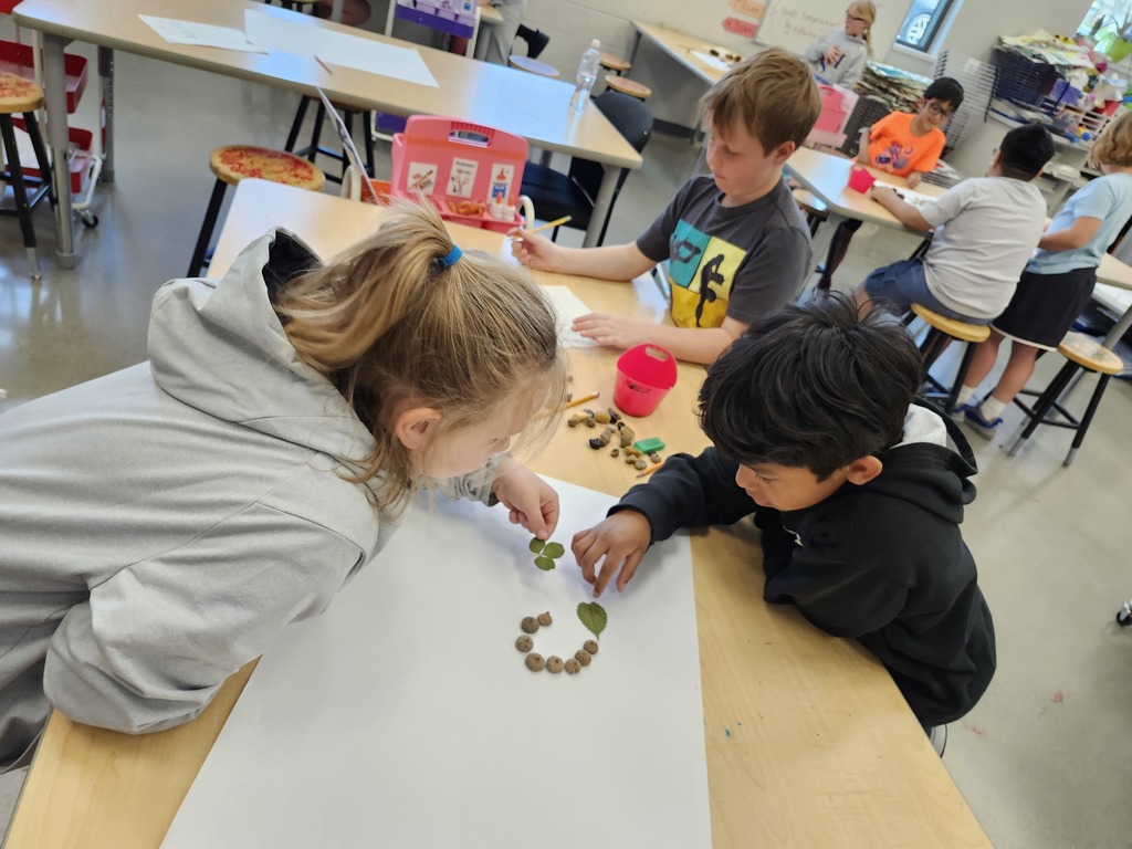 3rd grade ephemeral art 