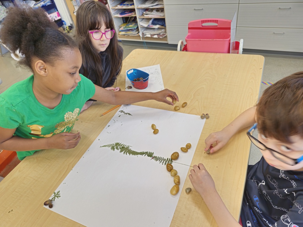 3rd grade ephemeral art 