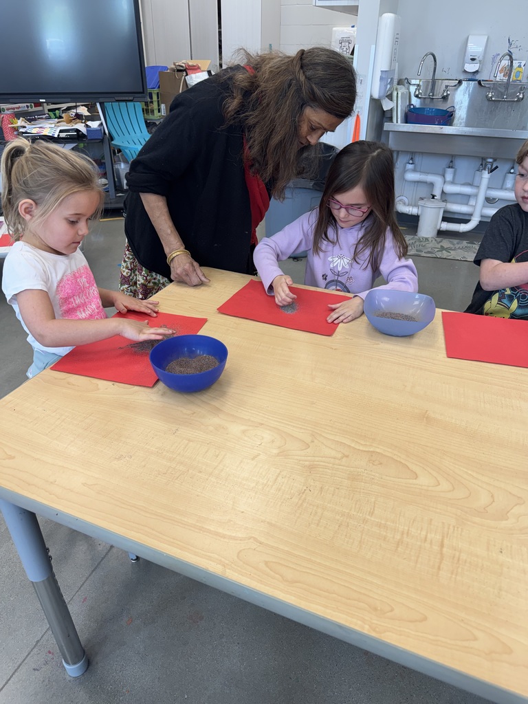 This week in art LSH Elementary students will be learning about the temporary art of rangoili from guest artist, Shakun.