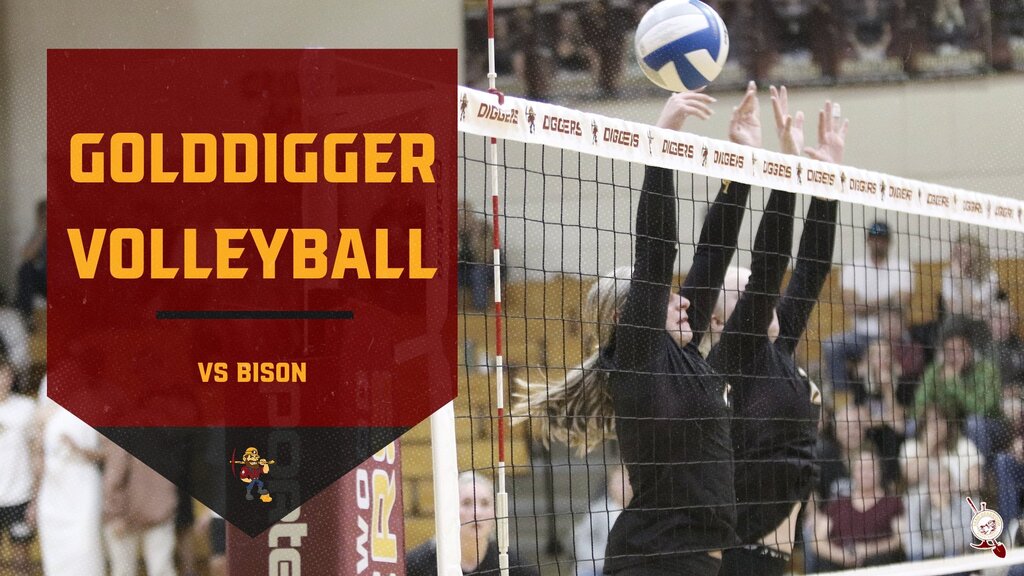 LDHS Vball vs Bison