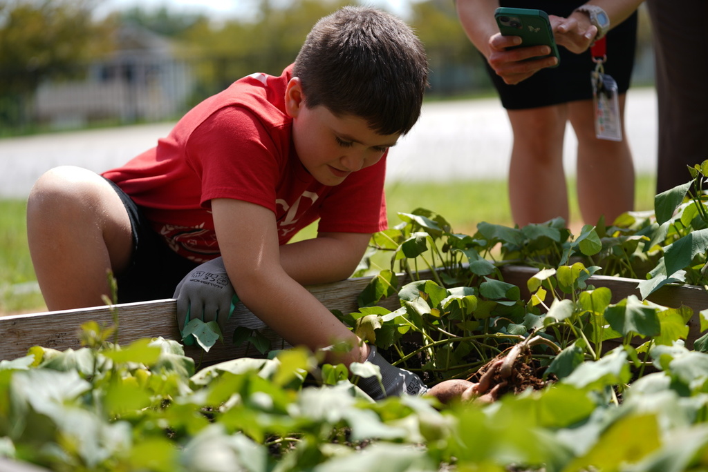 harvest9
