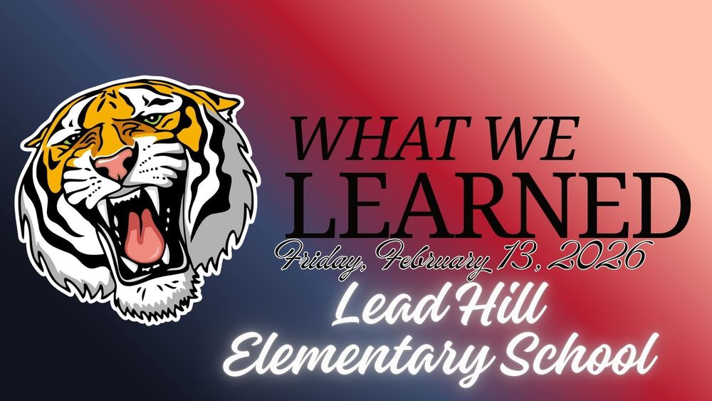 What We Learned Tiger