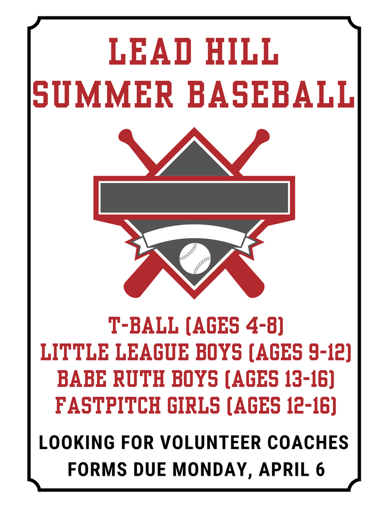 Lead Hill Summer Baseball Program