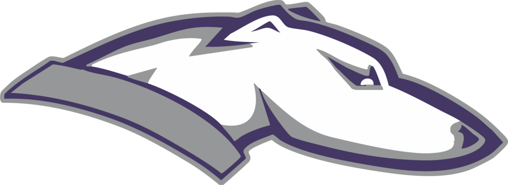 greyhounds