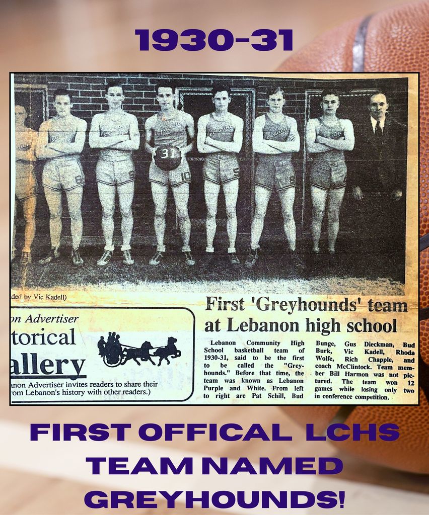 Meet the Greyhounds!