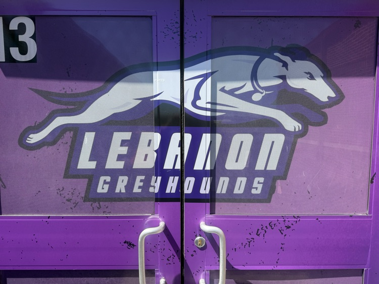 greyhounds