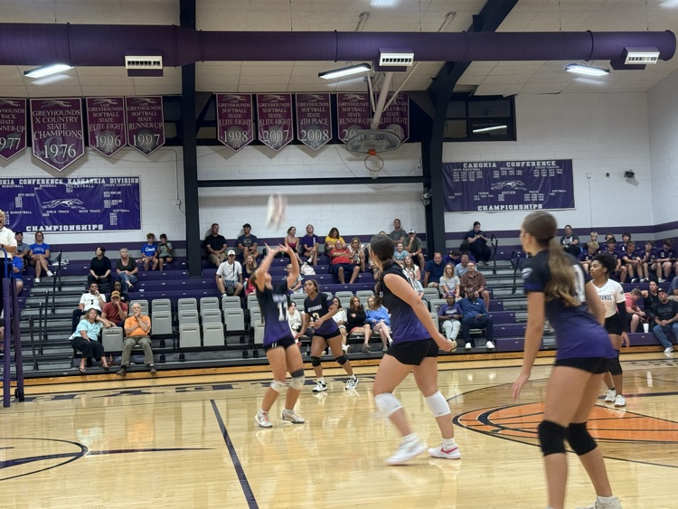 volleyball