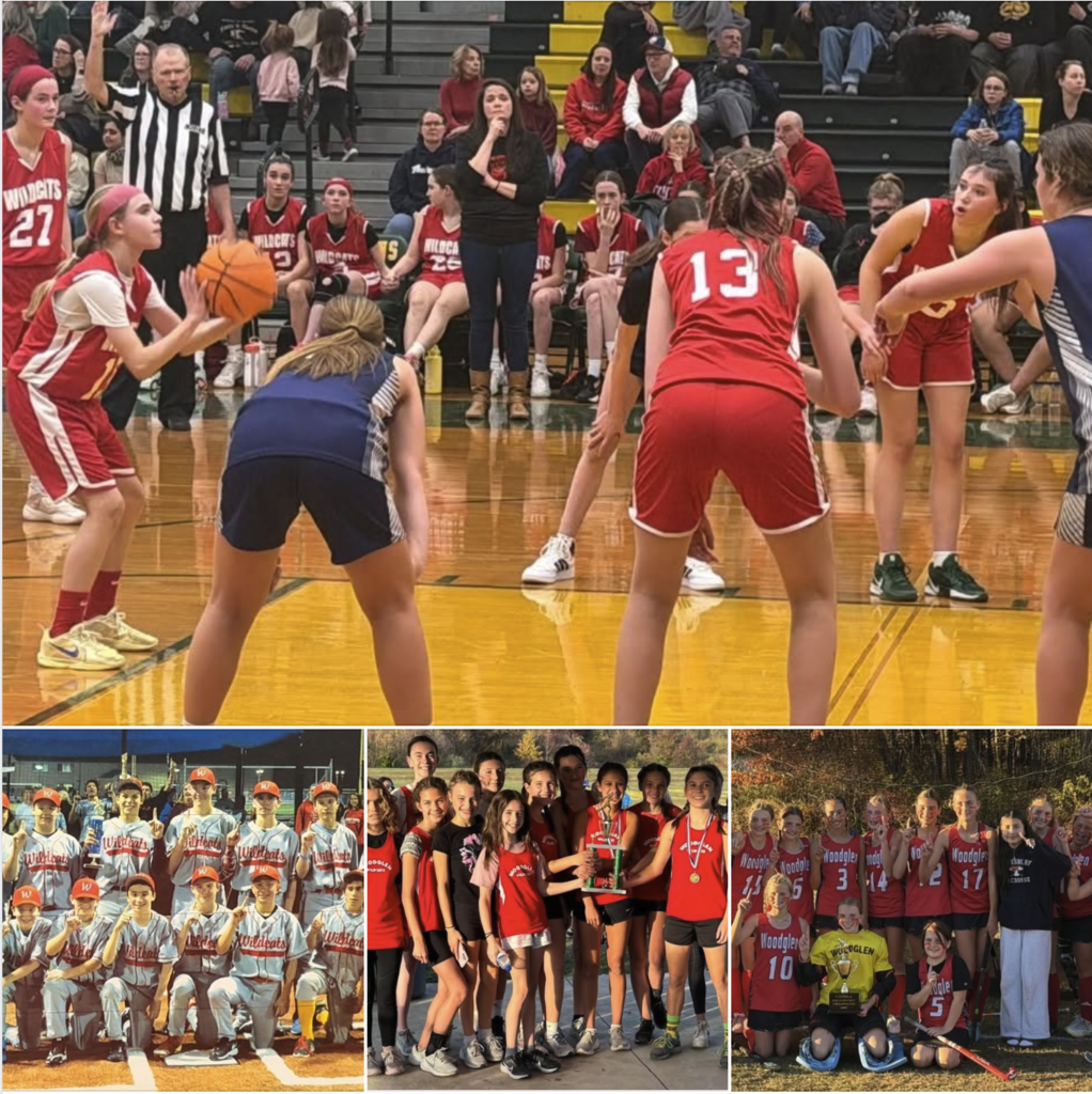 A collage of four youth sports photos. The top image shows a girls' basketball game in progress, with a player in a red jersey holding the ball. The bottom three panels show group team photos: a boys' baseball team posing on a field, and two different girls' teams (cross country/track and field hockey) holding championship trophies.