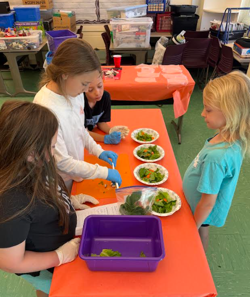 Students working with agriculture.