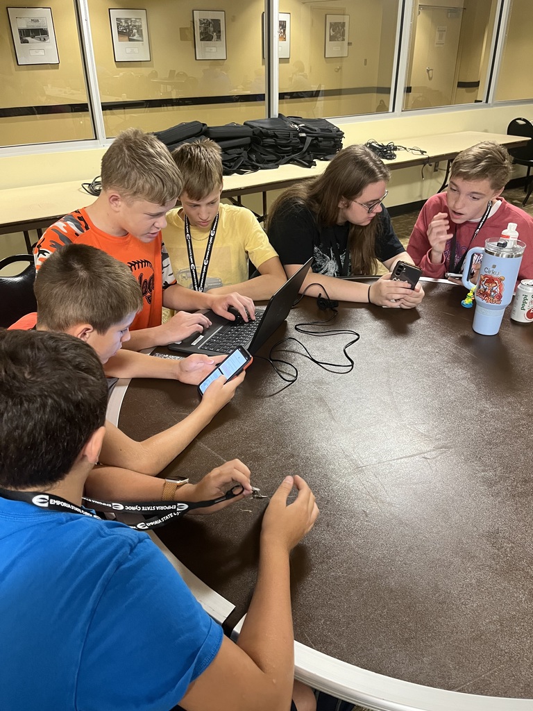 Cybersecurity capture the flag
