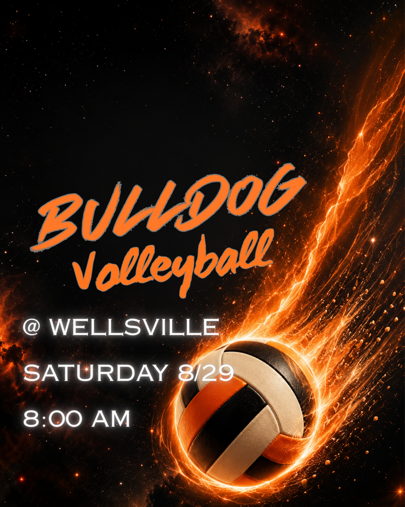 WHS VB @ Wellsville