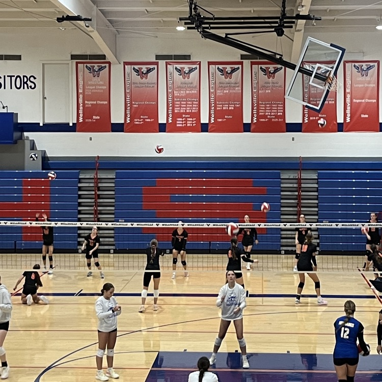 HSVB