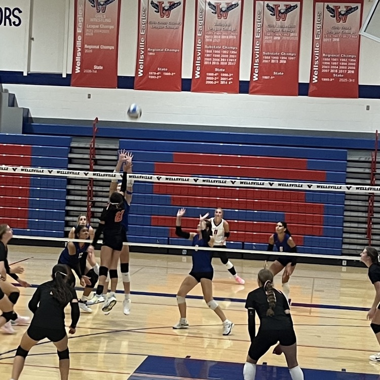 HSVB
